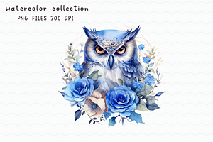 Owl Watercolor Clip Art