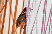 Worn Press Photoshop Effects Kit, a Layer Style Add-On by pixelbuddha.net (Thumbnail 6 of 7)