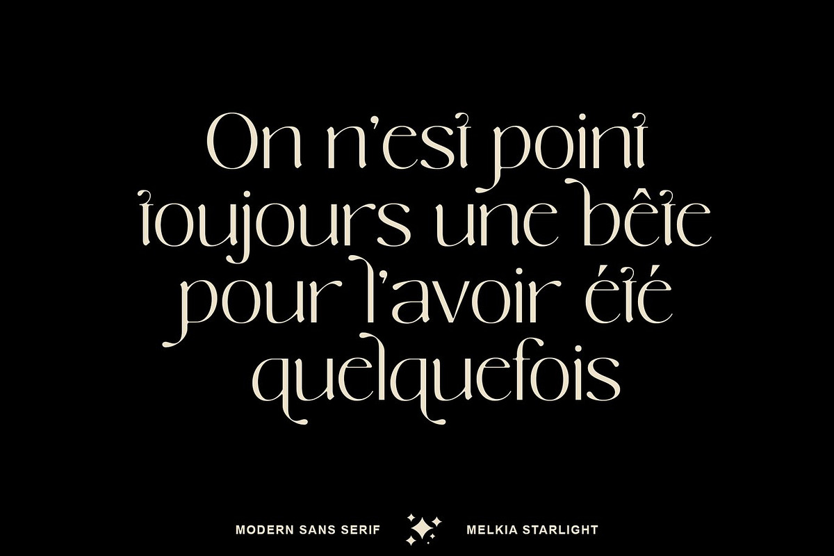 Molina Elegant Sans Serif, a Sans Serif Font by Luna Shop (Photo 5 of 11)
