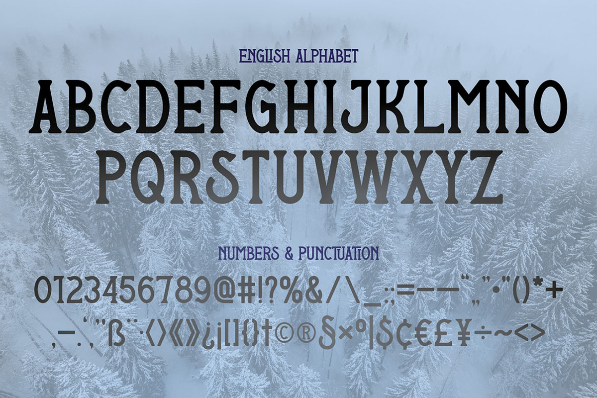 Nothern Woods Vintage Label Font, a Serif Font by JumboDesign (Photo 3 of 6)