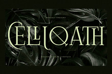 Celliqath Modern Display