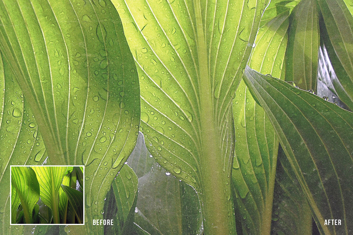 TEXTURIZER Grainy Photoshop Effect, a Templates & Theme by velvetmade.designs (Photo 5 of 14)