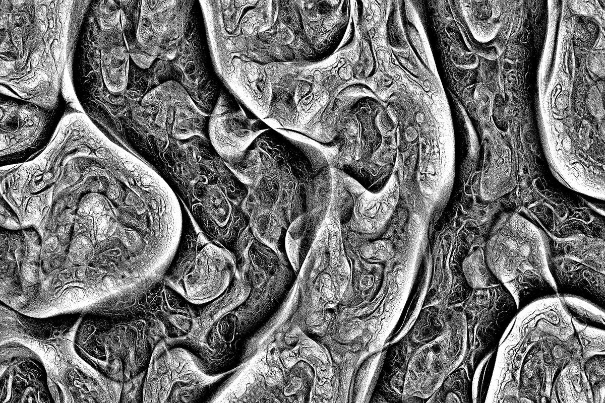 Cytoplasm, a Texture Graphic by Jennifer Lauren Creative (Photo 6 of 9)