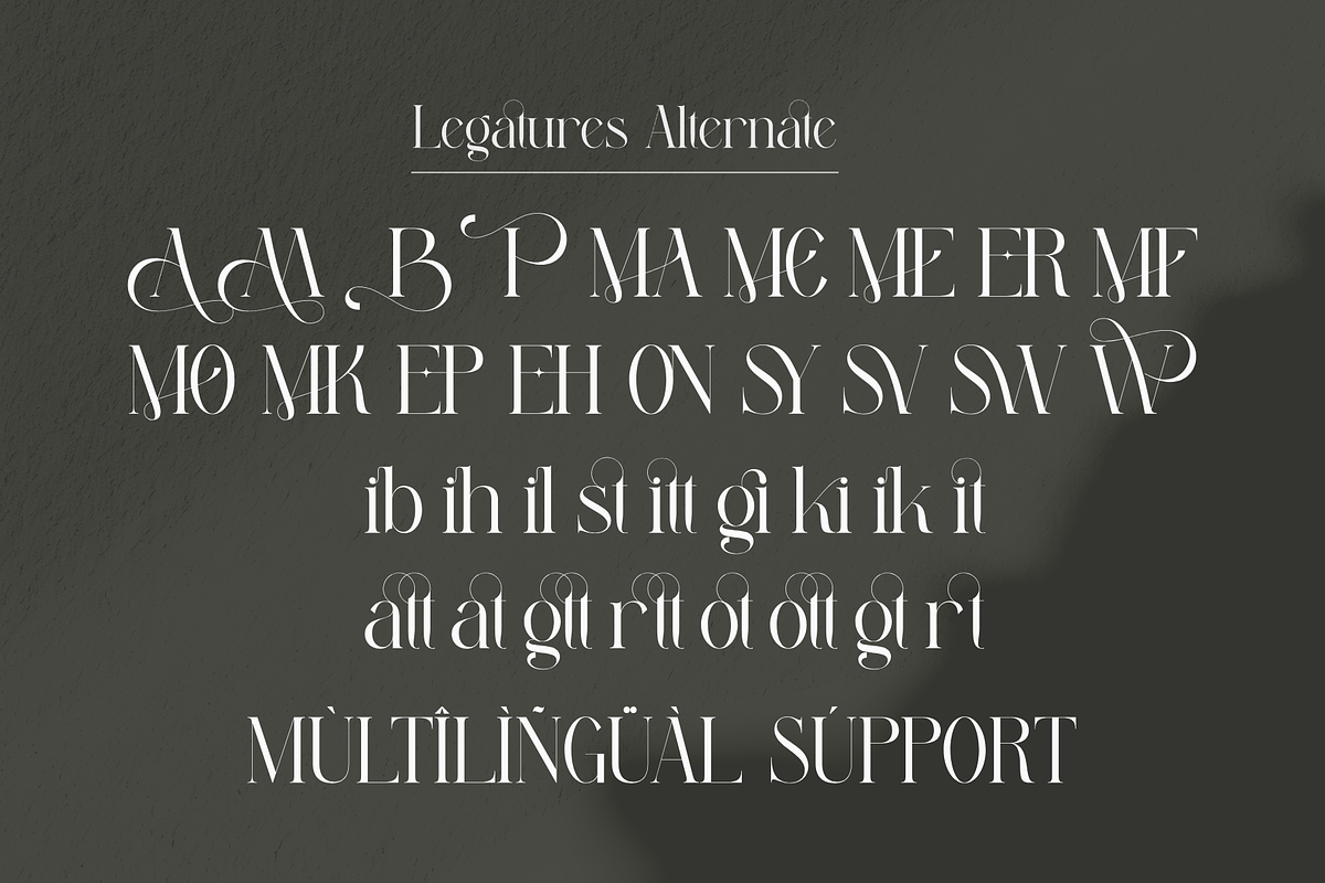 Miling Modern Serif Typeface, a Serif Font by Alfinart (Photo 9 of 10)