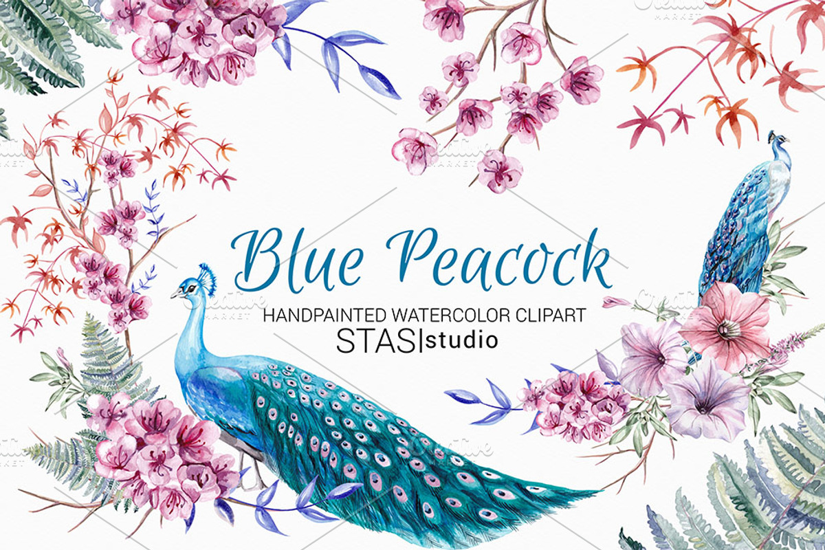 Watercolor Peacock & Floral Clipart, a Decorative Illustration by STASIstudio (Photo 1 of 3)