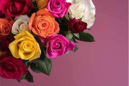 Spring Roses preview 3