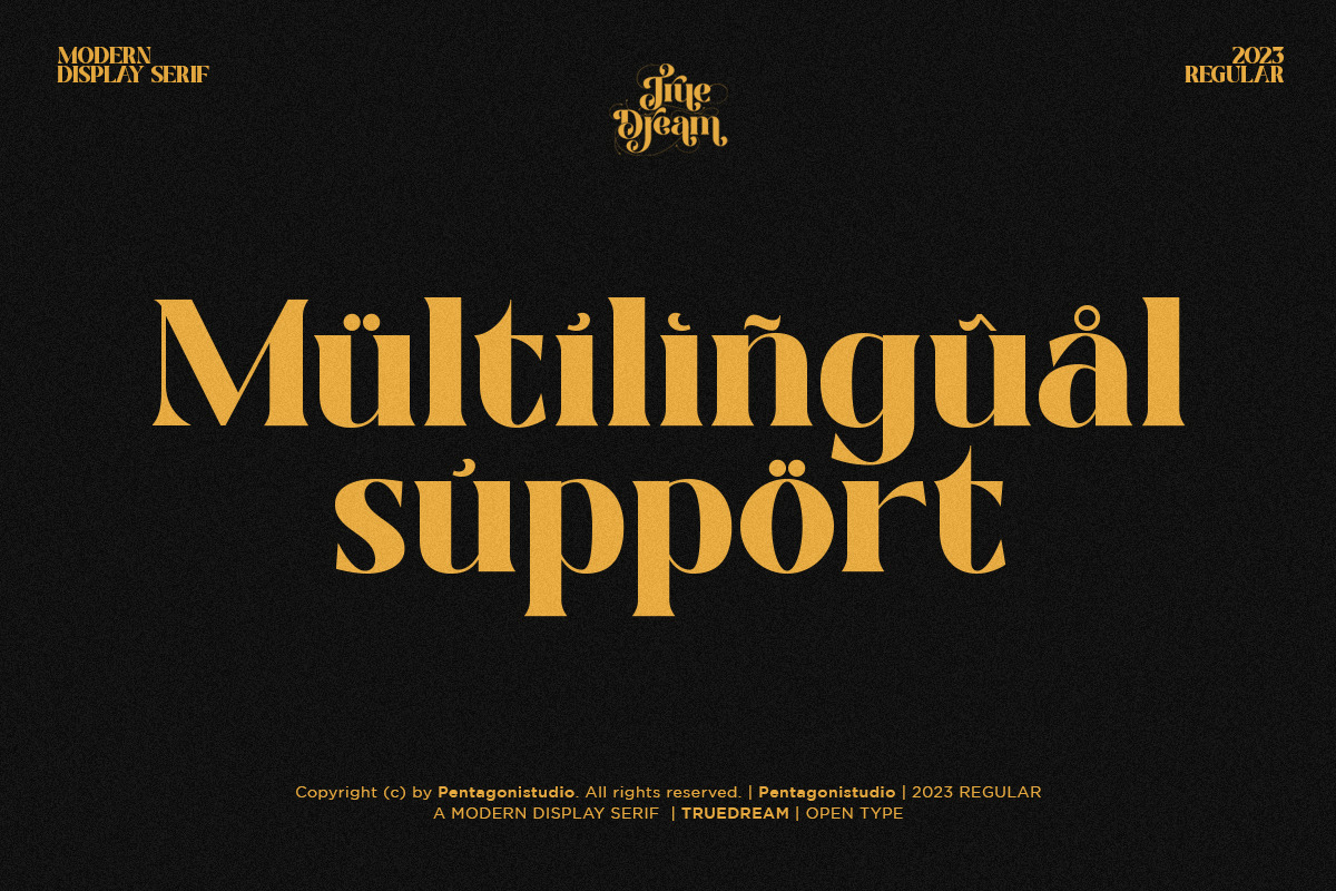 True Dream | Stylistic Display, a Serif Font by Pentagonistudio (Photo 11 of 11)