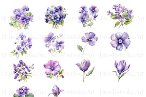 Violet Flower, Watercolor Floral PNG