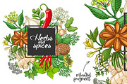 Hot spices and herbs templates, a Food Illustration by Primula`s shop (Thumbnail 4 of 4)