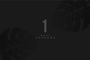 Tropical Shadows Pack X8