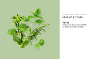 Organic Kitchen. Scene Creator, an Object Graphic by ifiStudio (Thumbnail 6 of 6)