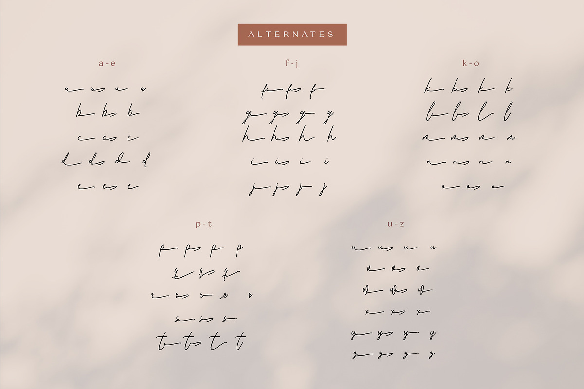 Renissa Signature Font, a Script Font by Rocket Template (Photo 14 of 14)