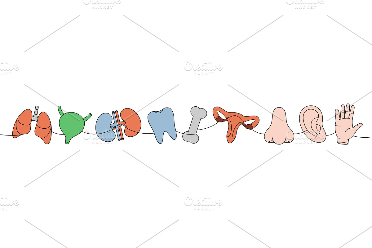 Set of human organ one line colored, an Object Illustration by GraphiShop