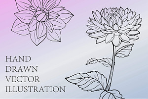 Dahlia Bouquet SVG Bundle