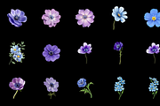 Watercolor Anemones Flower Clipart, a Graphic by Graphicspixel (Thumbnail 5 of 10)