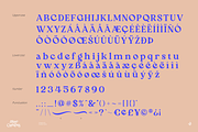 Blue Cashews, a Serif Font by Aluyeah Studio (Thumbnail 12 of 14)