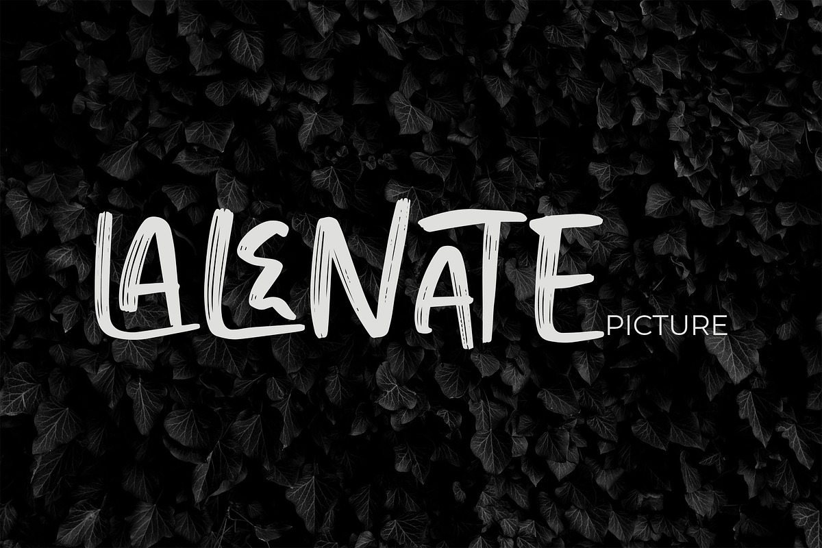 MELOTA Playful Brush Font, a Handwritten Font by NTC Graphic (Photo 5 of 9)