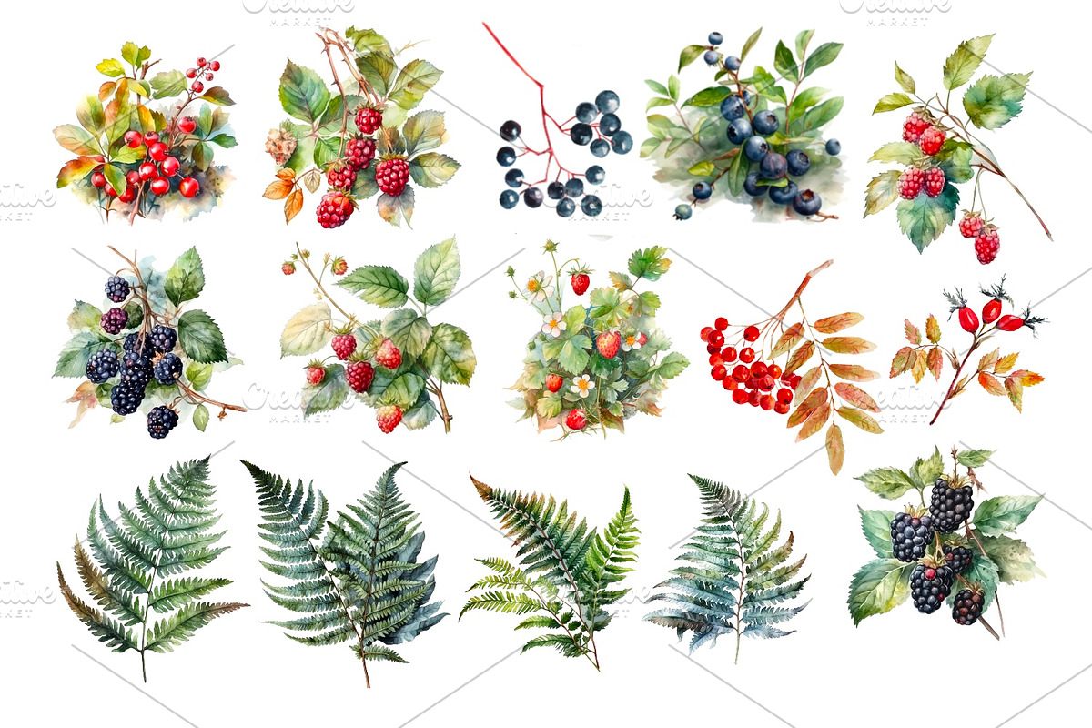 Watercolour Animals and plants, an Animal Illustration by AkvarelRiver (Photo 9 of 16)