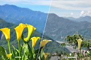 1000+ Lightroom Preset Bundle, an Action Add-On by pmvch (Thumbnail 12 of 12)