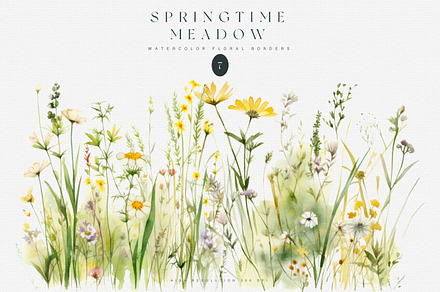 Watercolor Yellow Meadow Flowers Set, a Decorative Illustration by Patishop Art