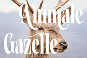 Grafistye Modern Display Serif Font, a Serif Font by timelesstype.co (Thumbnail 13 of 20)