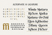 Fancyou Fonts Family, a Serif Font by Asenbayu (Thumbnail 13 of 15)
