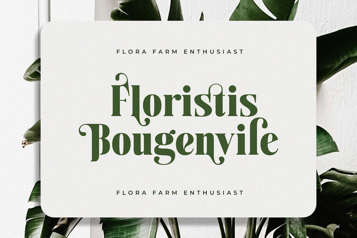 Lindasti - Elegant Display Serif, a Serif Font by Jimoji (Photo 8 of 11)