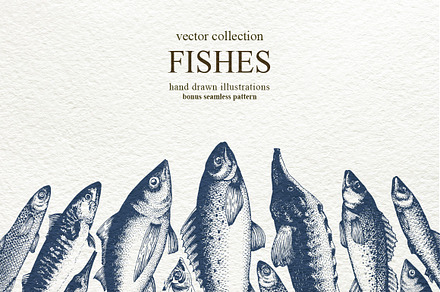 Fish Vector Collection, an Animal Illustration by Lubov Illustrations Shop