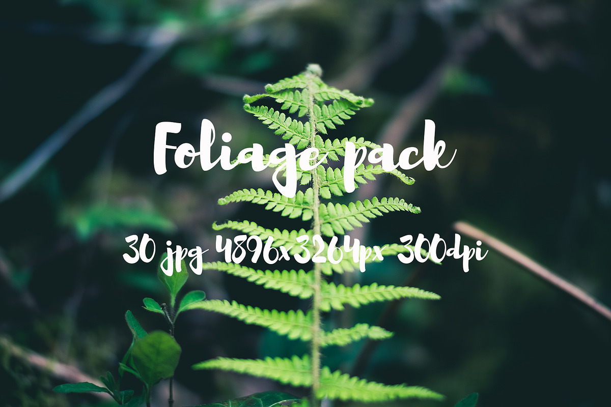 Foliage pack, a Templates & Theme by ApertureVintage (Photo 9 of 21)