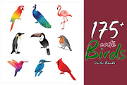 175 Vibrant Bird EPS Bundle, an Object Illustration by Sofia's Fashion (Thumbnail 1 of 3)