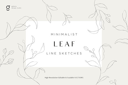 Minimalist Leaf Line Sketches