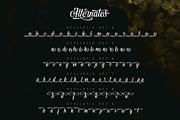 Vontgod Typeface, a Script Font by alit design (Thumbnail 4 of 18)