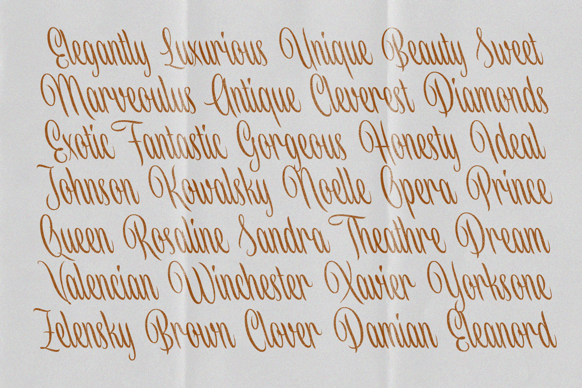 Louislemon - Reverse Slanted Display, a Script Font by Letterhend Studio (Photo 9 of 11)