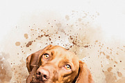 Dog Watercolor Painting Bundle, an Action Add-On by Photoshop Action (Thumbnail 6 of 14)