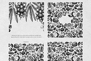 Nuts Hand-Drawn Vector Illustrations, a Food Illustration by Yevheniia (Thumbnail 11 of 15)