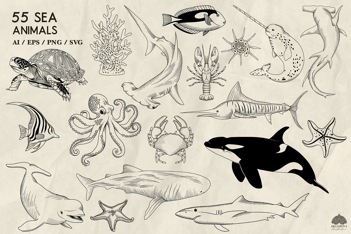 Sea animals line art + Procreate, an Illustration by Skliarova (Photo 3 of 4)