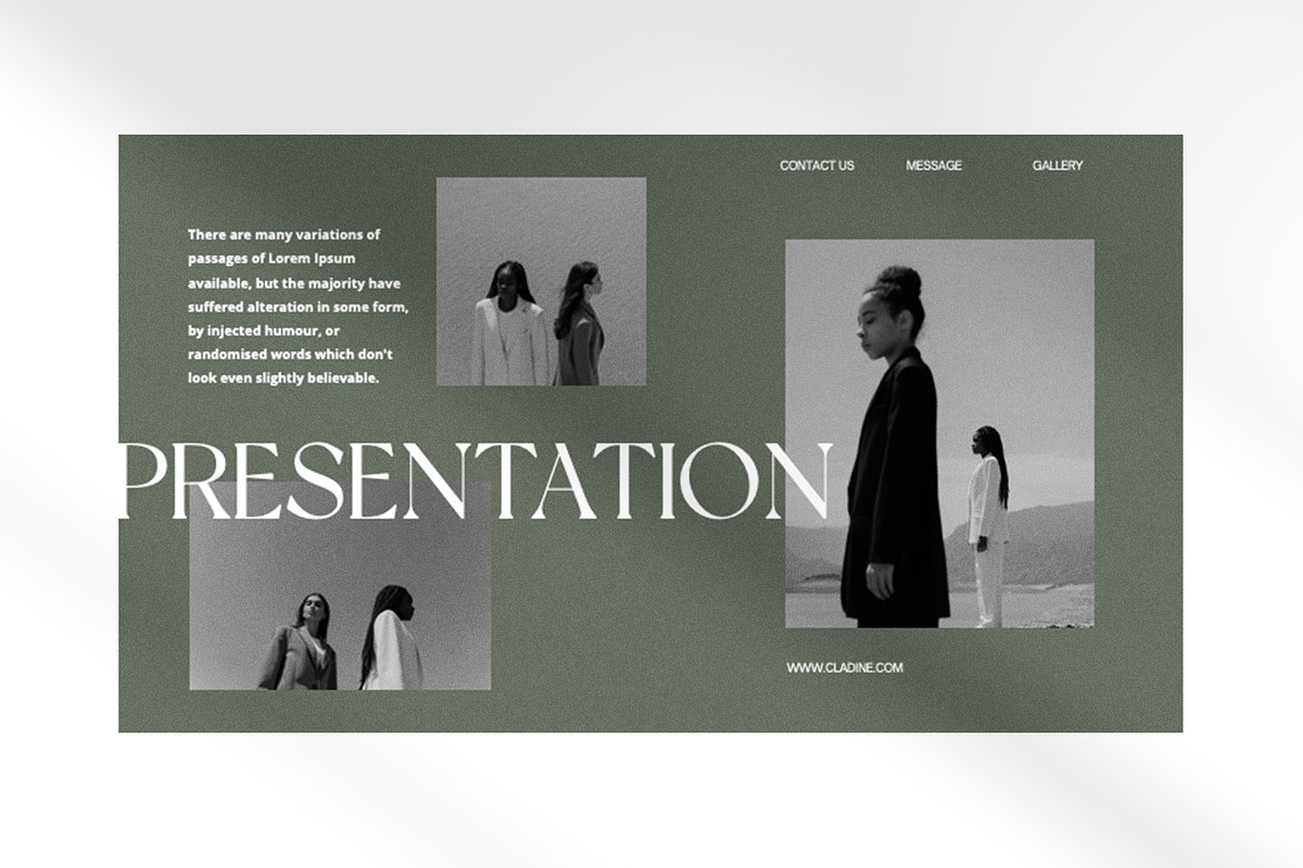 Cladine Presentation Template preview 6