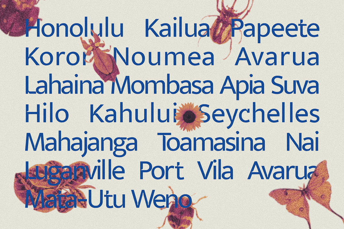 Veyla — Fashion-Edged Display Poise, a Sans Serif Font by ethylene.creative (Photo 11 of 12)