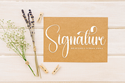 Budget | Script Font, a Handwritten Font by Scratchones (Thumbnail 4 of 9)