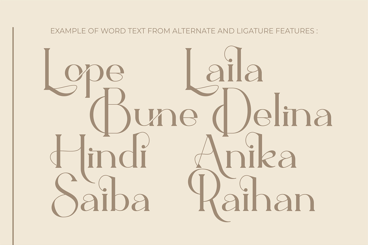 Ballein feminine serif font, a Serif Font by suhadidesign (Photo 6 of 12)