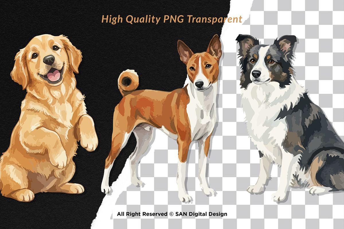 15 Bundle Watercolor Big Dog Fluffy, an Animal Illustration by Morspective (Photo 2 of 8)