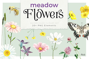 Meadow Flower Watercolor PNG Clipart