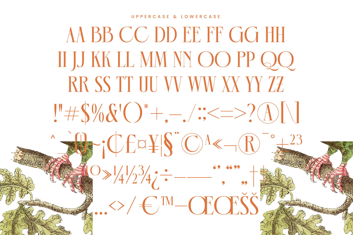 Mecoka Groove Elegant Serif Font, a Serif Font by timelesstype.co (Photo 18 of 20)