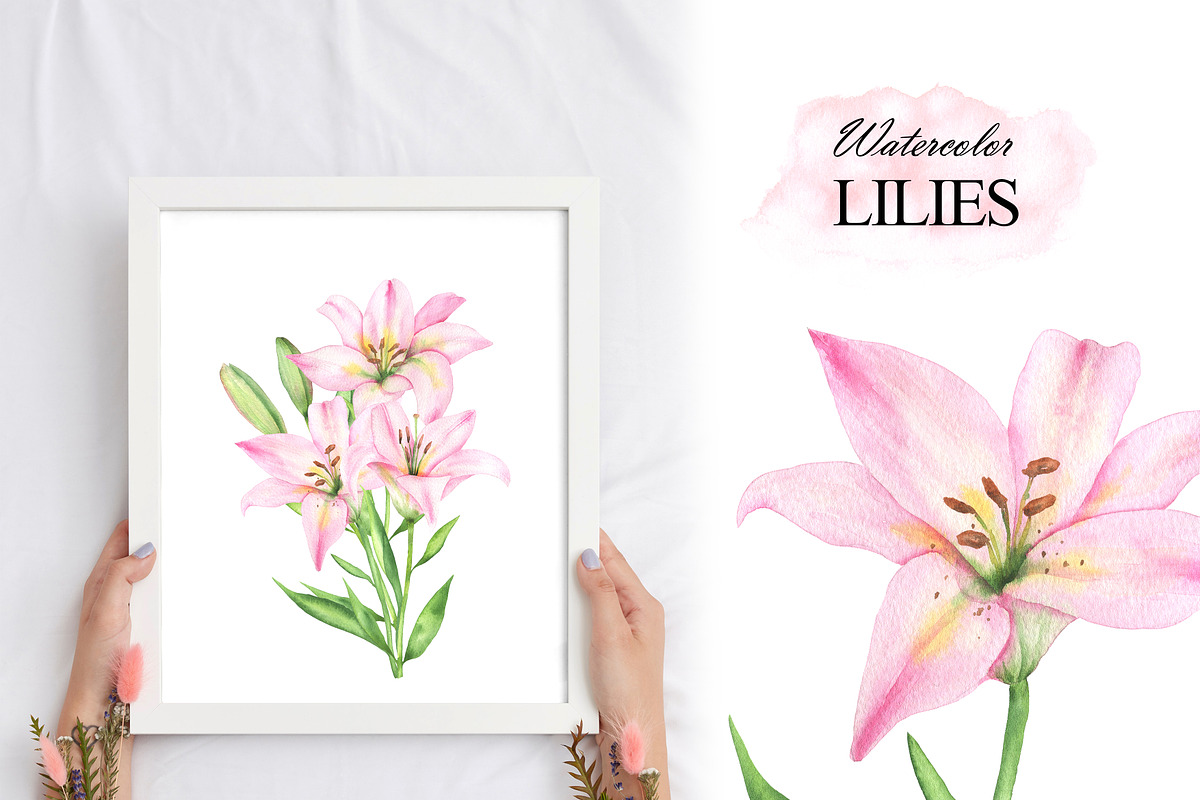 Pink lilies watercolor clipart set, an Illustration by OlDm_Shop (Photo 5 of 10)