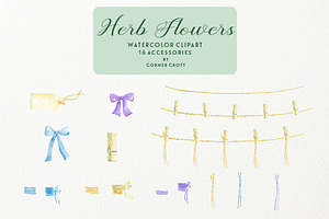 Watercolor Herb Flower Clipart