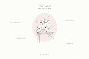 Born to die. Line art, an Object Graphic by Purple (Thumbnail 2 of 11)