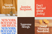 Eighties Comeback Serif (70 fonts), a Serif Font by Nicky Laatz (Thumbnail 19 of 47)