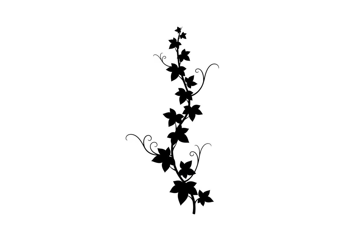 Floral Ornament Silhouette Bundle, an Illustration by BIPLOB EXPERT (Photo 10 of 51)