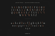 Aveline, Soft Serif with Ligatures, a Serif Font by CarmineType (Thumbnail 22 of 28)