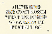 Farqey Denours Serif Font, a Serif Font by Heinzel Std (Thumbnail 2 of 19)